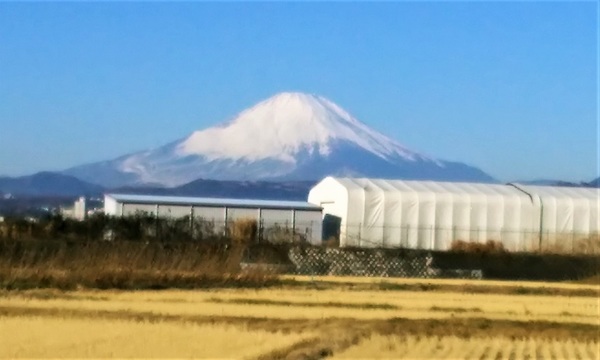 20190118富士山.jpg