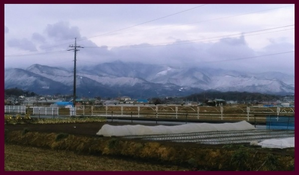 大山 20180202 掲載用.jpg