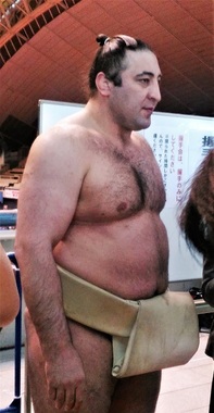 大相撲藤沢巡業20180414 栃ノ心関01.jpg