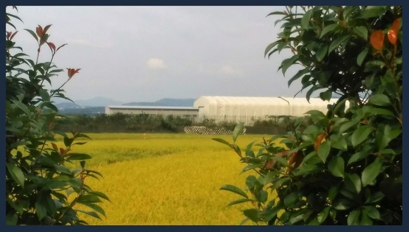 富士山 伊勢原にて 20170915 掲載用.jpg