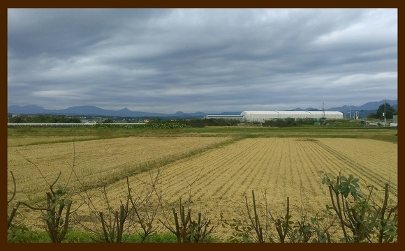 富士山 伊勢原にて 20171006掲載用.jpg
