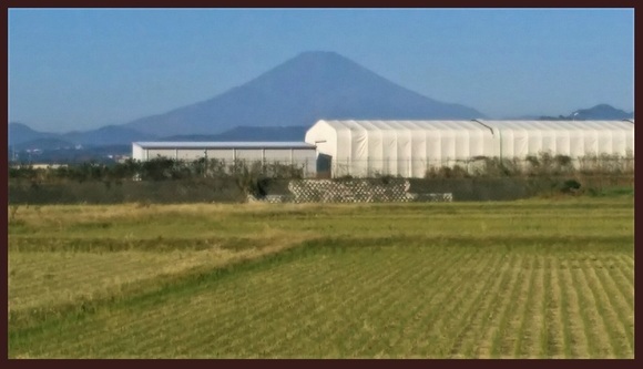 富士山 伊勢原にて 20171103.jpg