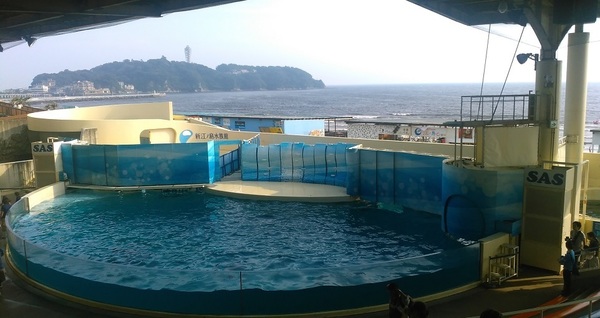 新江の島水族館へ行ってきました.jpg