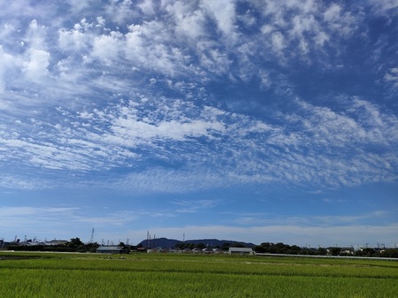 秋の雲.jpg