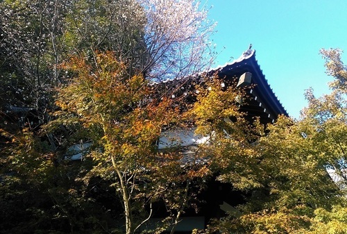 紅葉 02 長谷寺.jpg