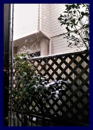雪 降り出した。。 20180122.jpg