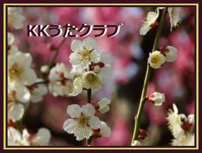 KKうたクラブ 2018 2月.jpg
