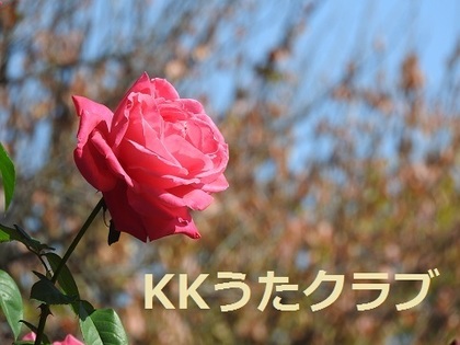KKうたクラブ 2019 10月 秋バラ.jpg