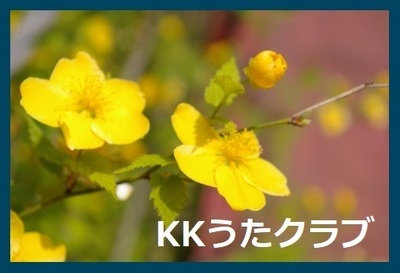 KKうたクラブ 2019 4月山吹.jpg